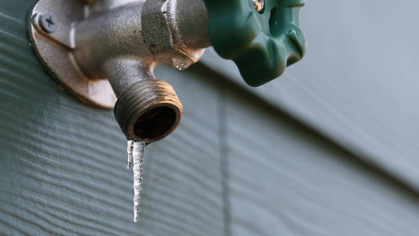 Best Plumbing Inspection Services  in Myersville, MD
